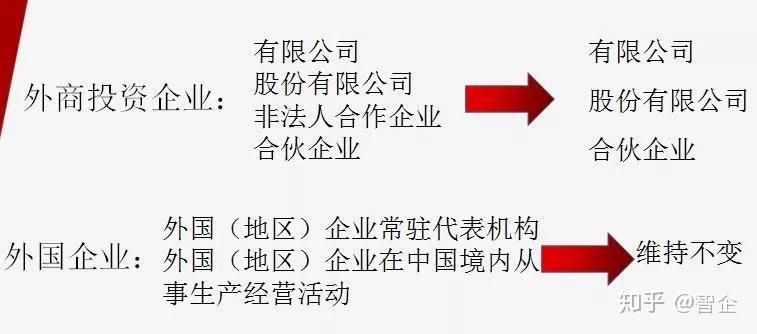 鞭挞:4949澳门今晚开奖,请全面释义、解释与落实
