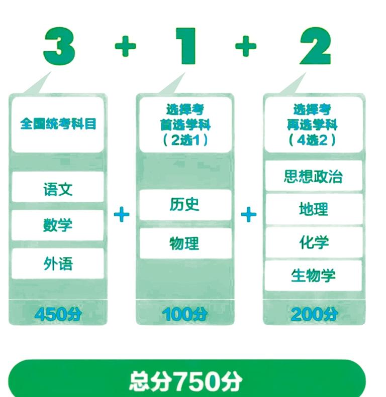 揭底:新澳2025全年资料,请全面释义、解释与落实