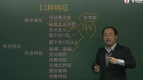 揭盖子:澳门最准的资料免费公开,精选解析、解释与落实