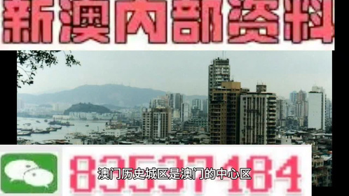 小心:新澳门精准资料大全管家婆料,的全面释义、解释与落实