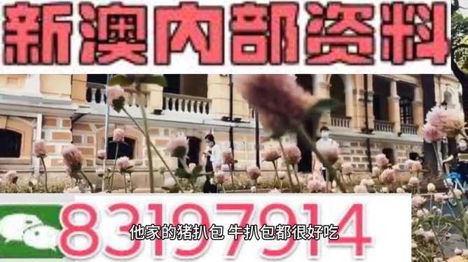 戒备:新澳门精准四肖期期中特公开,精选解析、解释与落实